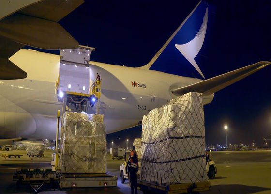Wszystkie rodzaje Niezawodny Światowy Fracht Powietrzny DHL Wysyłka od drzwi do drzwi