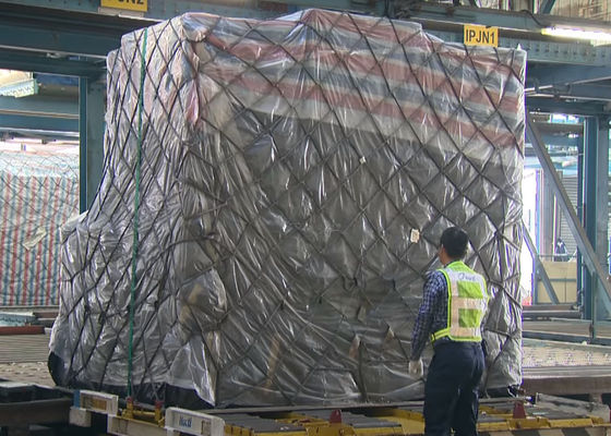 Wszystkie rodzaje Niezawodny Światowy Fracht Powietrzny DHL Wysyłka od drzwi do drzwi