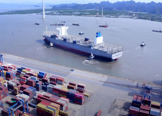 Door To Door LCL International Ocean Freight Forwarder DP Sea Shipping