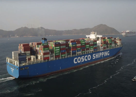 DDP DDU Ocean Freight International Delivery Service PTP Transport