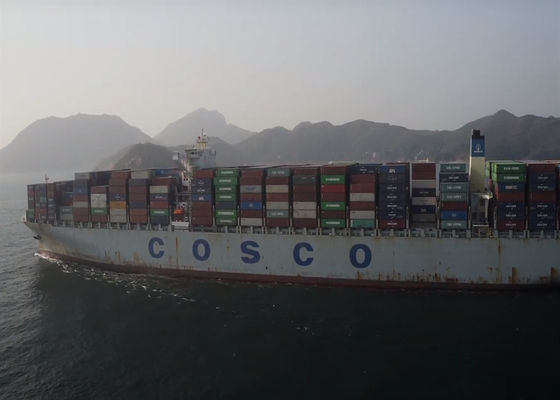 DDU LCL FCL Door To Door Shipping International Ocean Logistics