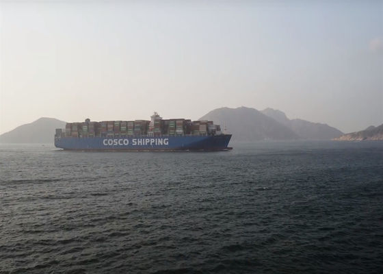 DDU LCL FCL Door To Door Shipping International Ocean Logistics