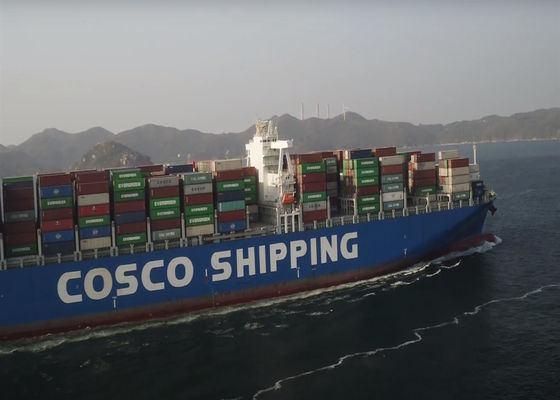 LCL FCL Międzynarodowy Transport Morski Guangzhou Do Świata Globalne Żeglugi Oceaniczne